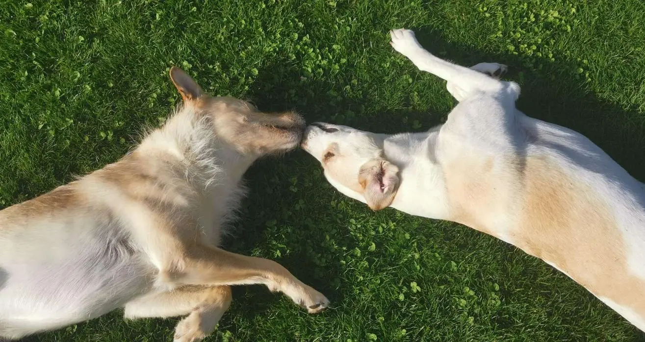Nina und Willi